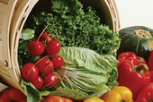 Agro program